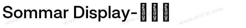 Sommar Display字体转换